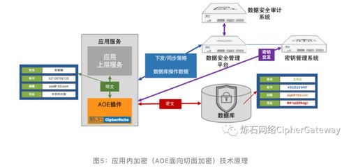 一文讀懂十大數(shù)據(jù)存儲加密技術(shù)及數(shù)據(jù)處理和存儲服務(wù)